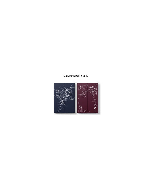 &TEAM KR 2nd Mini Album - Mark on Me (Random Ver.) CD